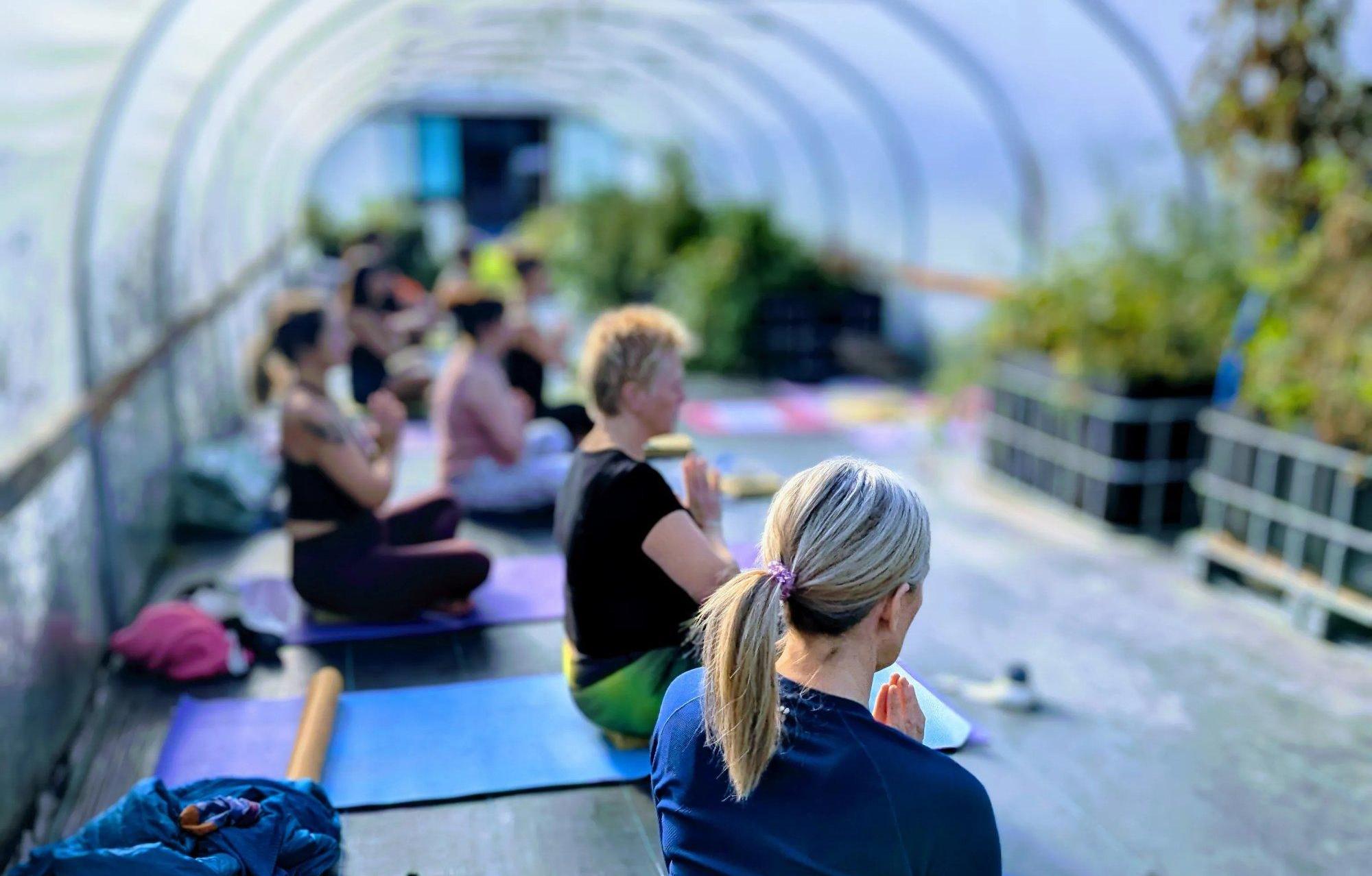 Yoga class in the polytunnel at The Nature of Yoga