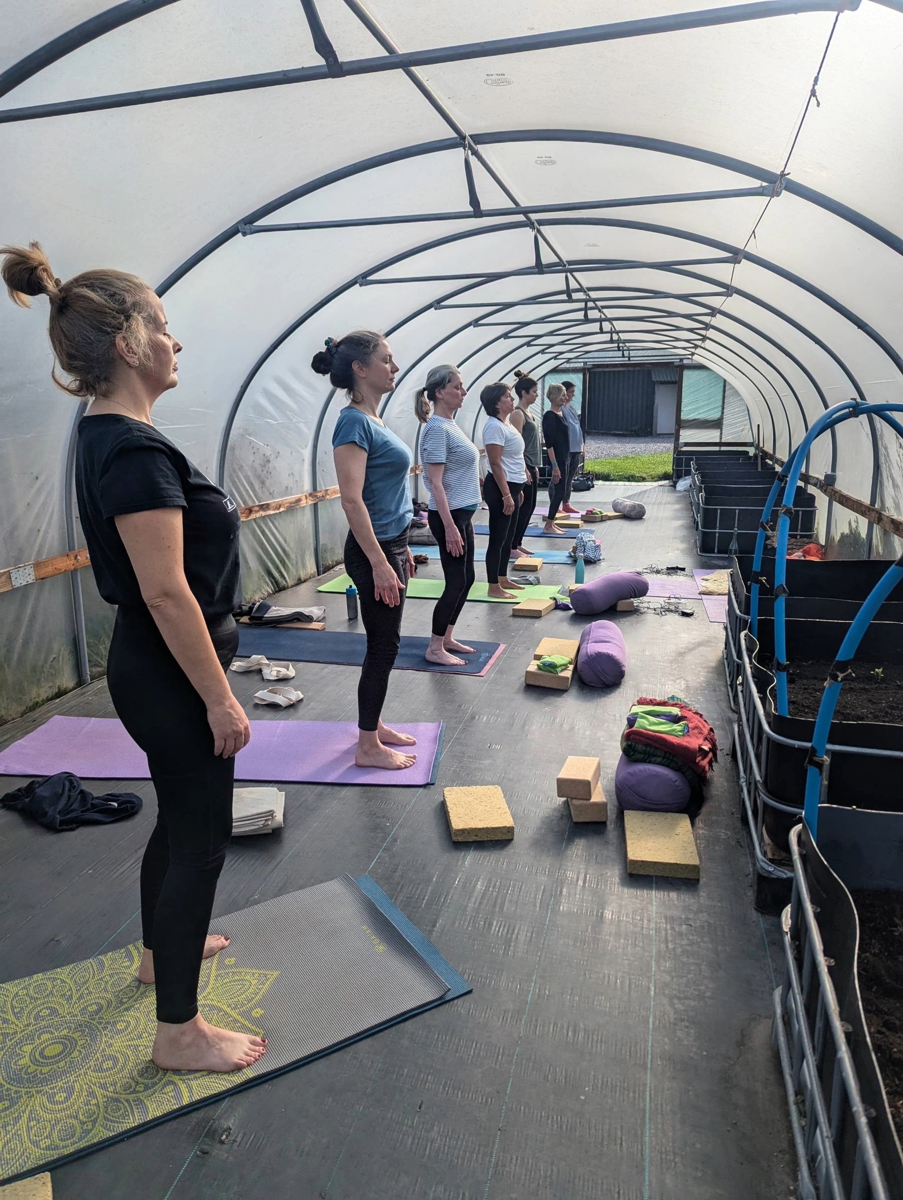 Yoga class in the polytunnel on the Somerset smallholding
